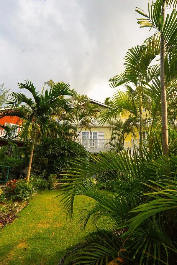 Lola'S Tropical Oasis Apartamento Montego Bay 0*,