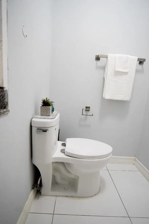 Lola'S Tropical Oasis Apartamento Montego Bay